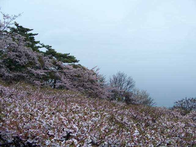 Atami_Japan003