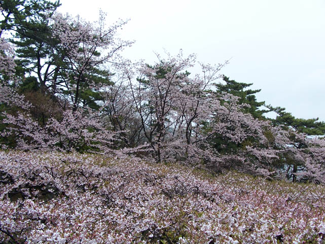 Atami_Japan004