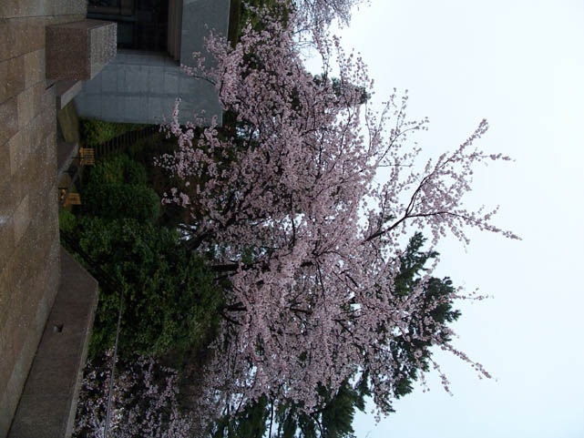 Atami_Japan007
