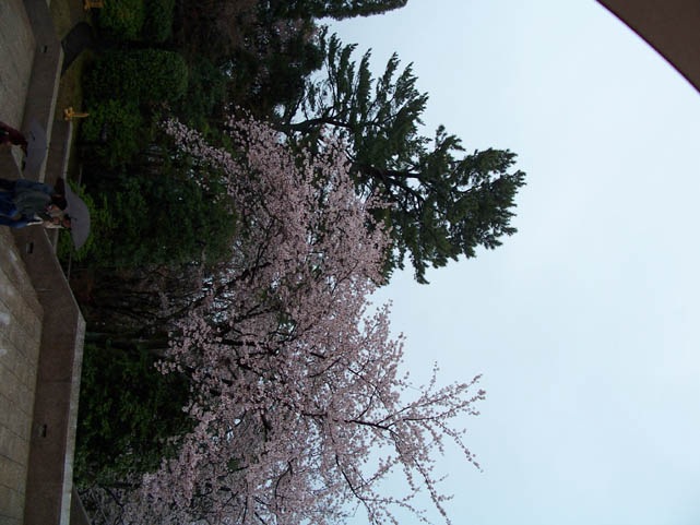 Atami_Japan008