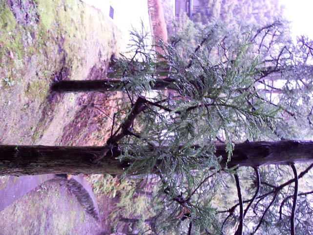Atami_Japan023