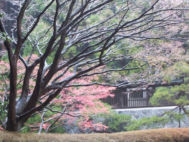 Atami_Japan024