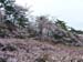 Atami_Japan004