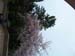 Atami_Japan008