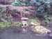 Atami_Japan015