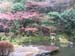 Atami_Japan016