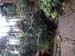 Atami_Japan019