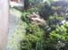 Atami_Japan022